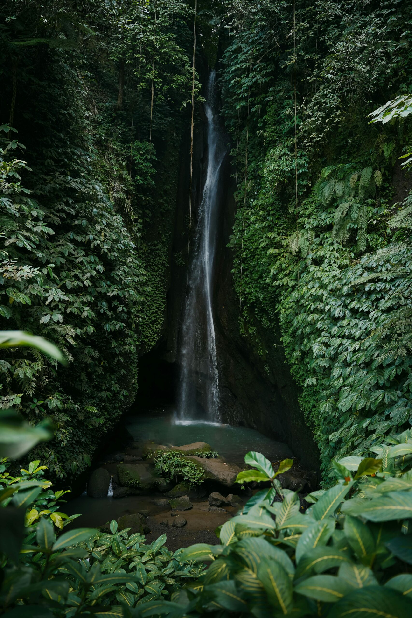 Discover the serene beauty of Leke Leke Waterfall surrounded by lush jungle in Bali, Indonesia.